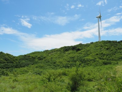 草地稀有植物野外復育基地現址(新竹林區管理處 提供)